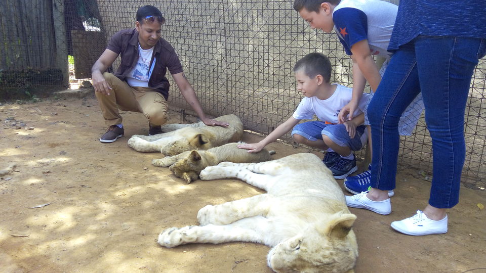 Photo of Lion & Safari Park - Johannesburg,South Africa by Sandeep Kumar