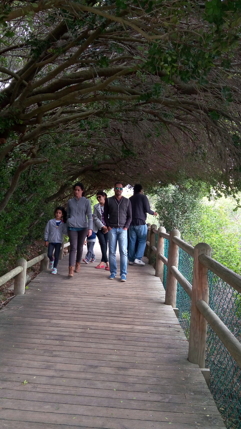 Photo of Let's Visit the Boulders Beach, Capetown,SA by Sandeep Kumar