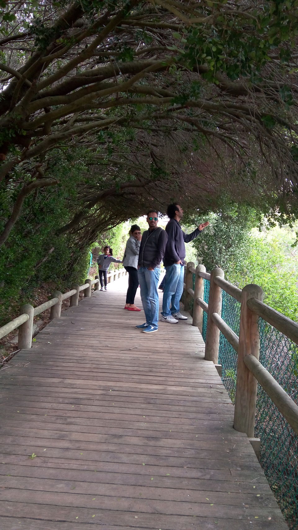 Photo of Let's Visit the Boulders Beach, Capetown,SA by Sandeep Kumar