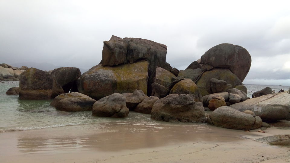 Photo of Let's Visit the Boulders Beach, Capetown,SA by Sandeep Kumar