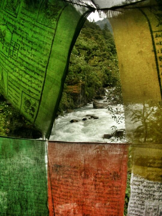 Photo of Bhutan by Supriya Newar