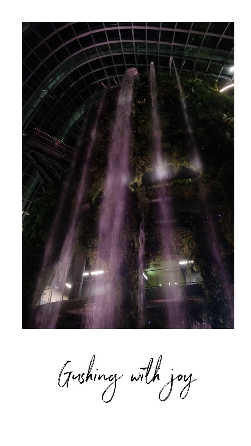 Photo of Marina Gardens Drive, Gardens by the Bay, Singapore by Ruthusree