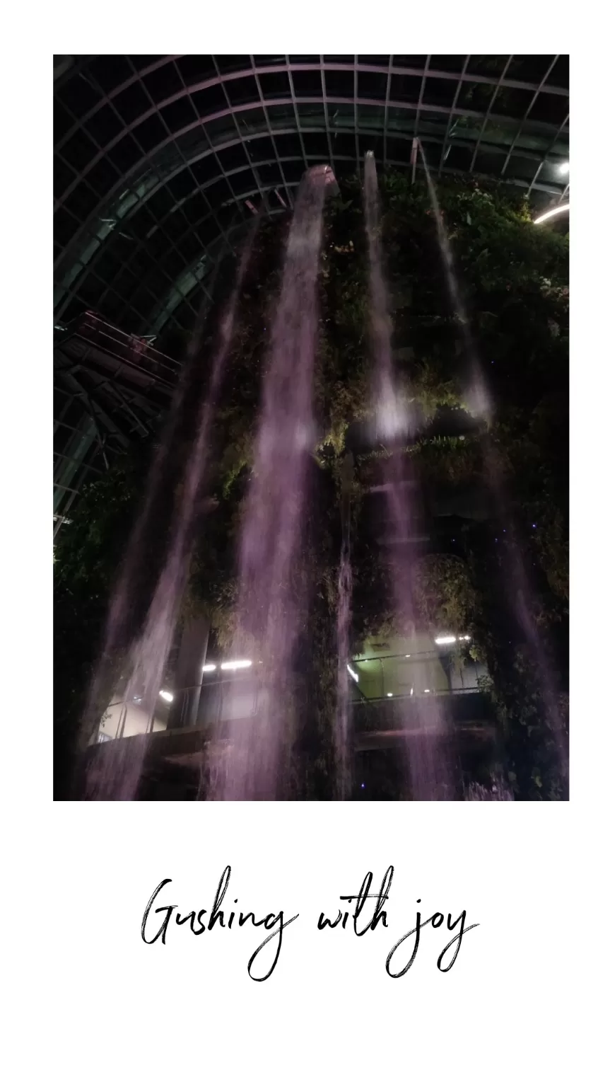 Photo of Marina Gardens Drive, Gardens by the Bay, Singapore by Ruthusree
