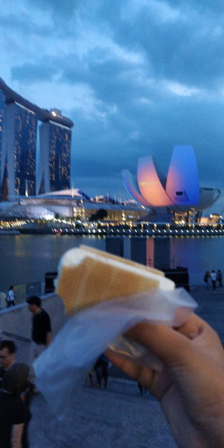 Photo of Marina Gardens Drive, Gardens by the Bay, Singapore by Ruthusree