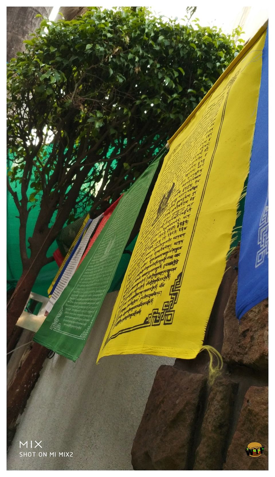 Photo of Eskopop Gourmet Popsicles - Story of a Secret Garden that brings your childhood memories back by Nihal Shatak