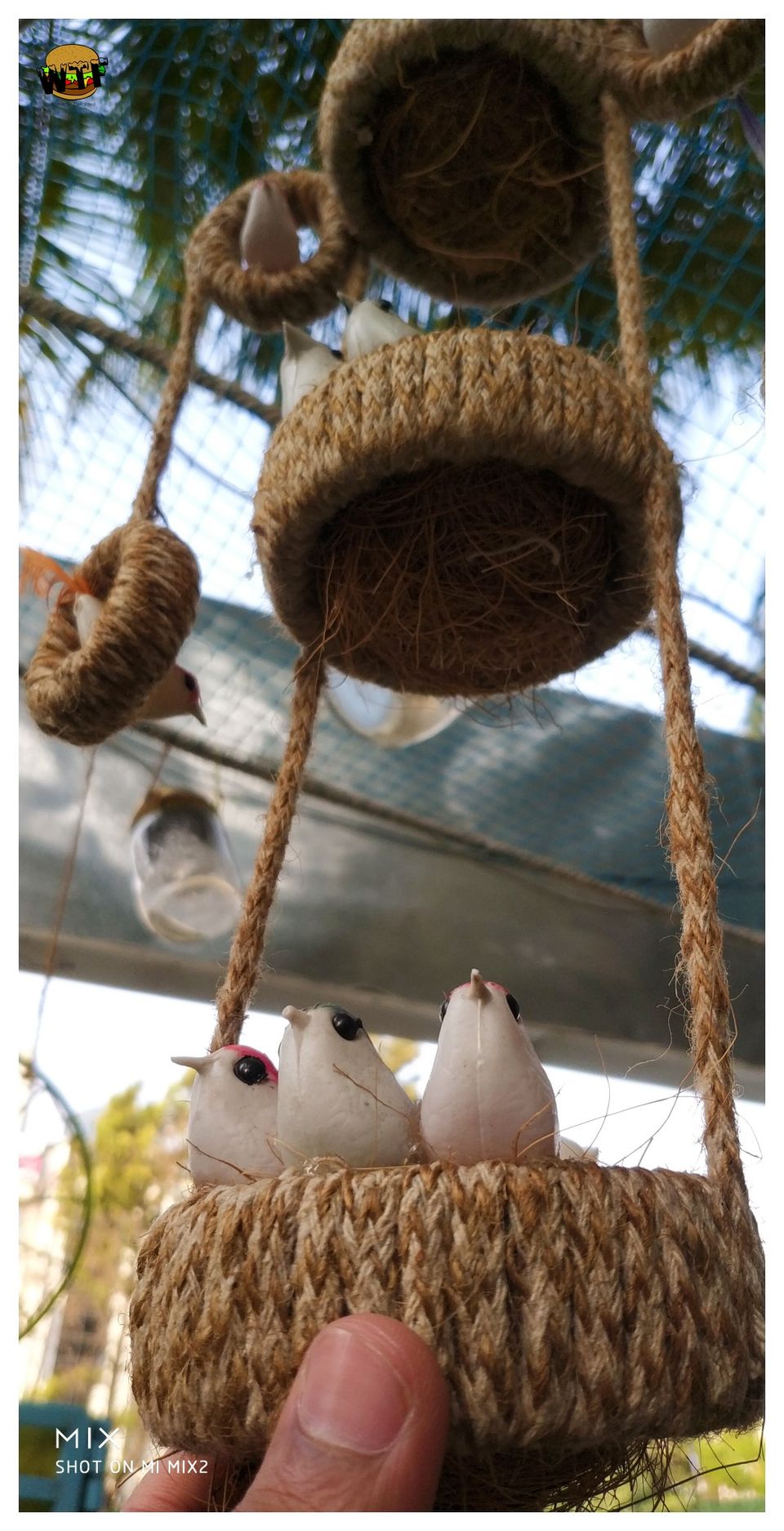 Photo of Eskopop Gourmet Popsicles - Story of a Secret Garden that brings your childhood memories back by Nihal Shatak