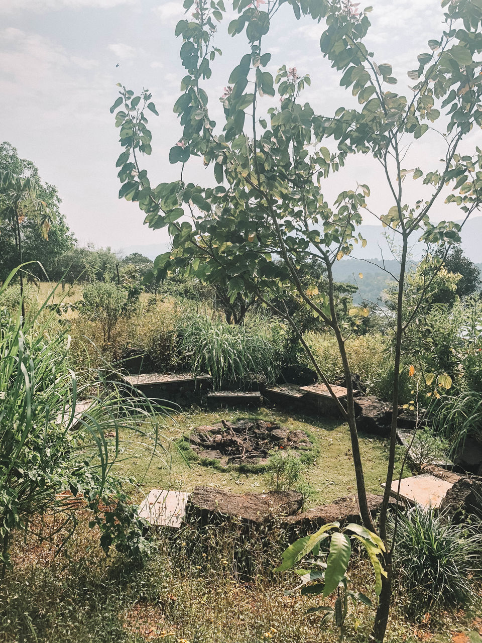 Photo of Mumbai/Pune weekend getaway : Fragrant Sun, Mulshi 9/12 by AAMNA MISHRA
