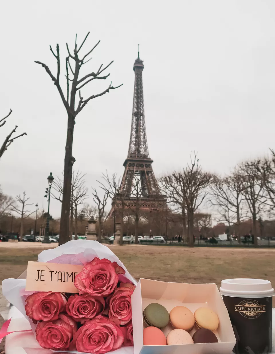 Photo of Champ de Mars, Allée Adrienne Lecouvreur, Paris, France by AAMNA MISHRA