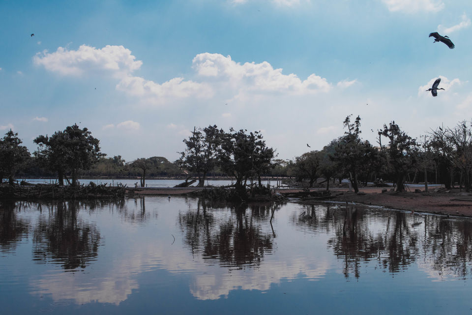 Photo of BANGKOK : Travel Guide for First Timers by AAMNA MISHRA
