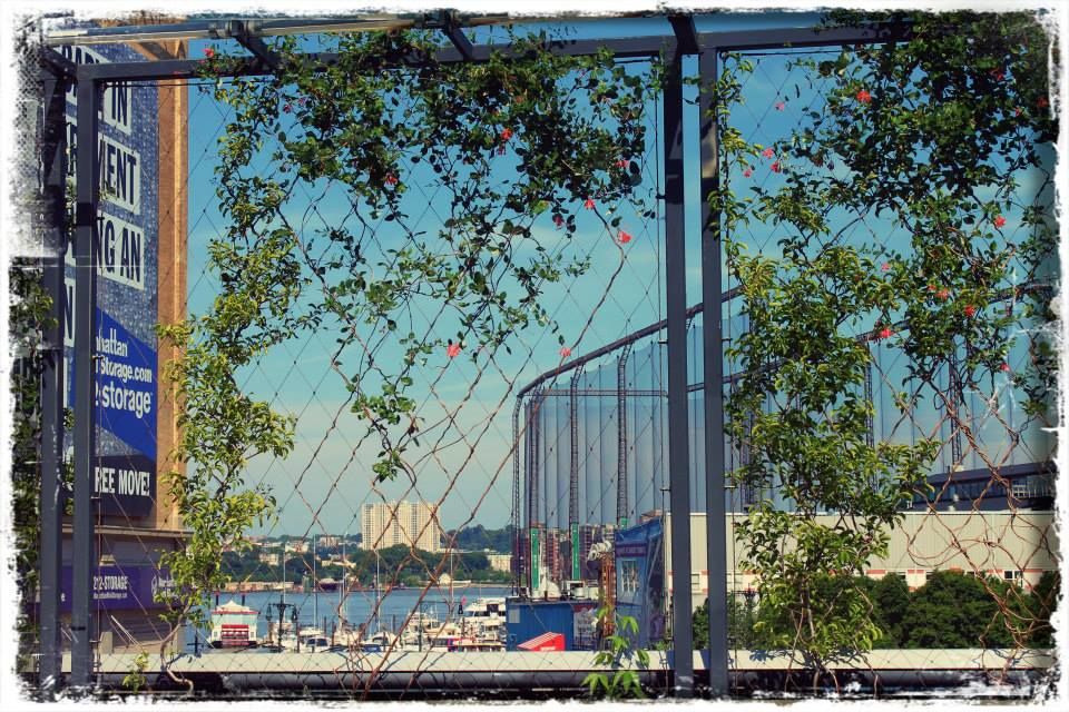 Photo of Summer in New York by Gopika EM