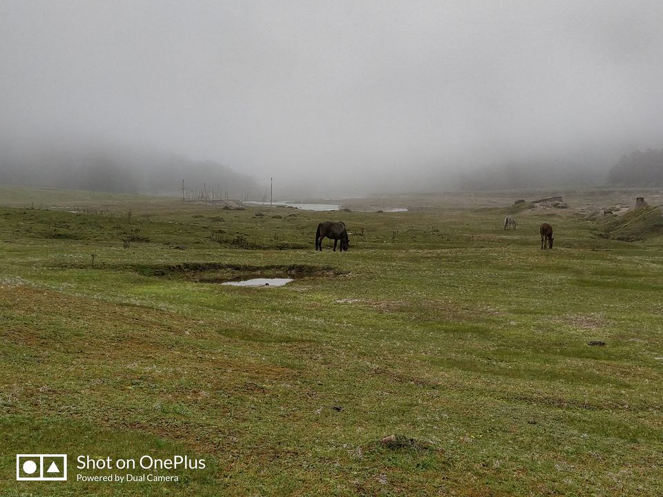 Photo of Sikkim – Darjeeling Solo Trip by Sandesh Patkar