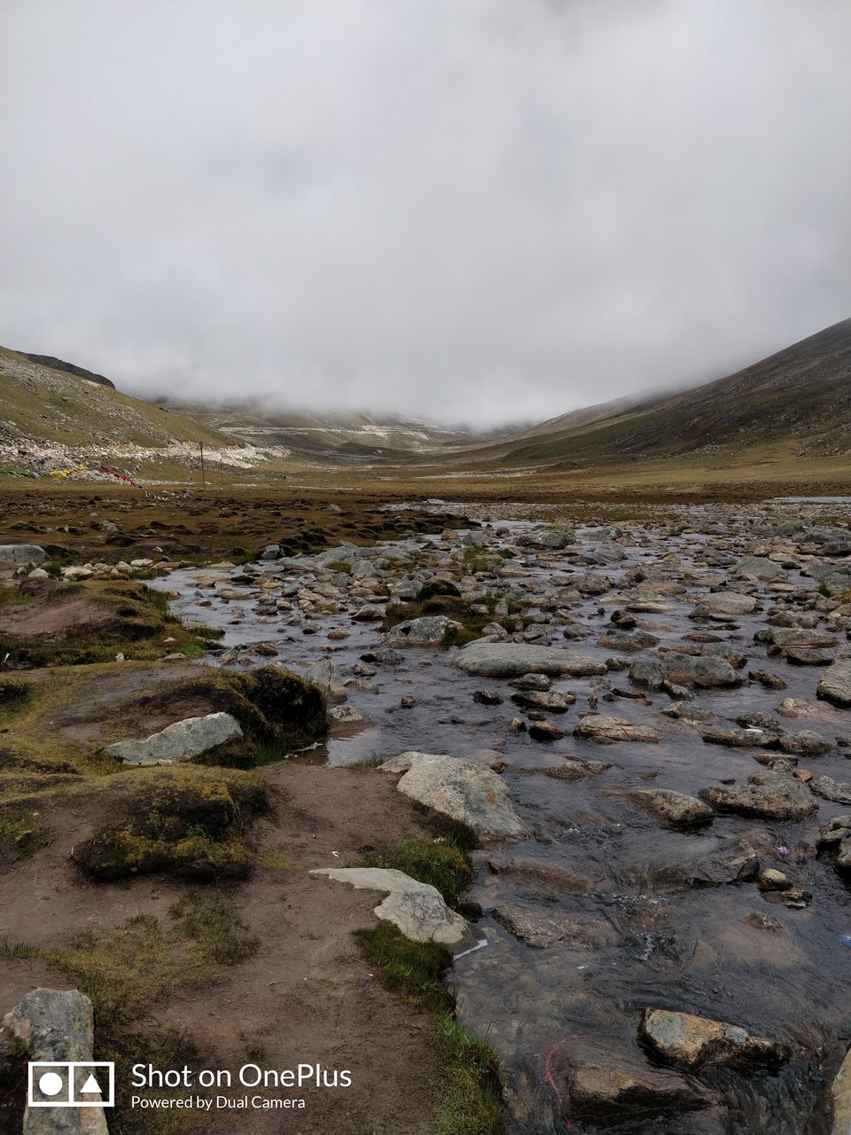 Photo of Zero Point Yumthang Valley, Sikkim, India by Sandesh Patkar