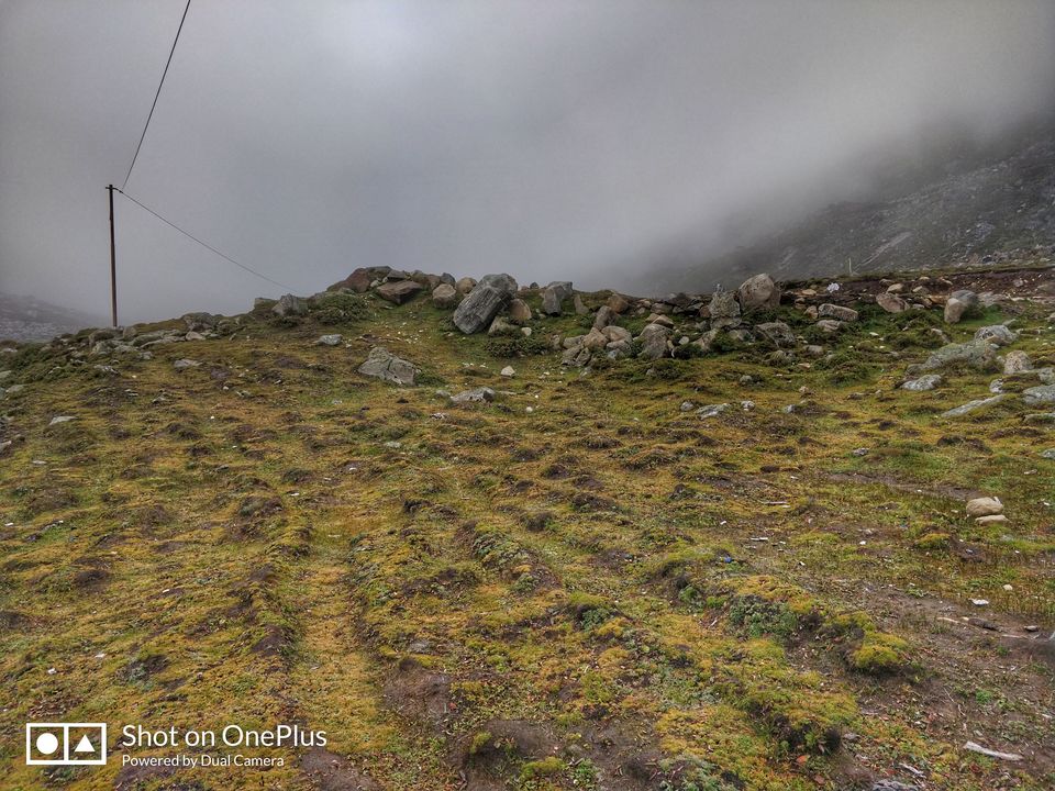Photo of Sikkim – Darjeeling Solo Trip by Sandesh Patkar