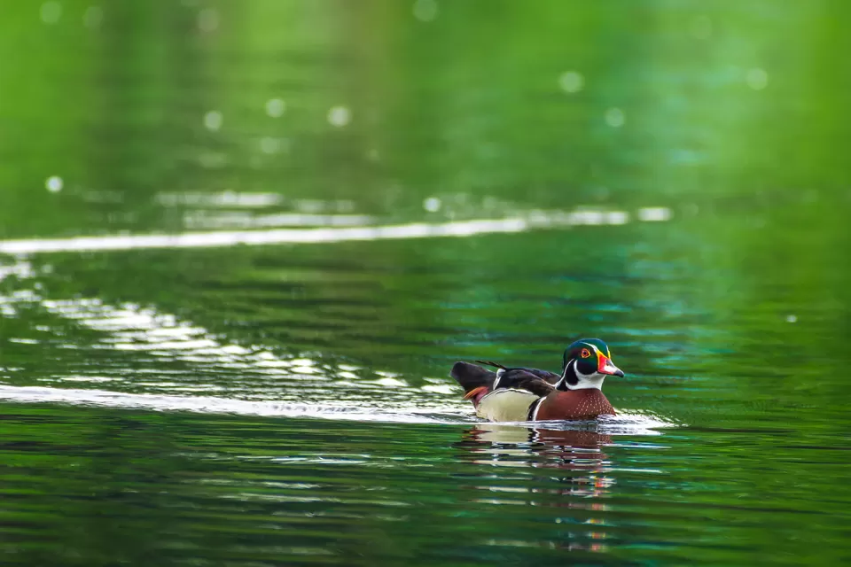 Photo of Bally, Howrah, West Bengal, India by Saurabh Sirohiya