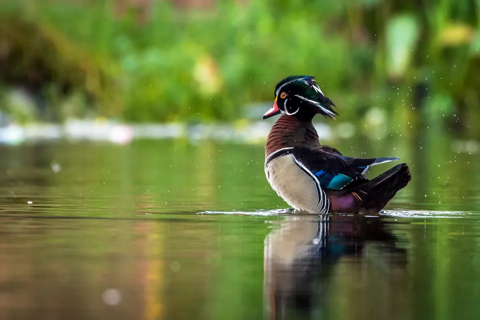 Photo of Bally, Howrah, West Bengal, India by Saurabh Sirohiya