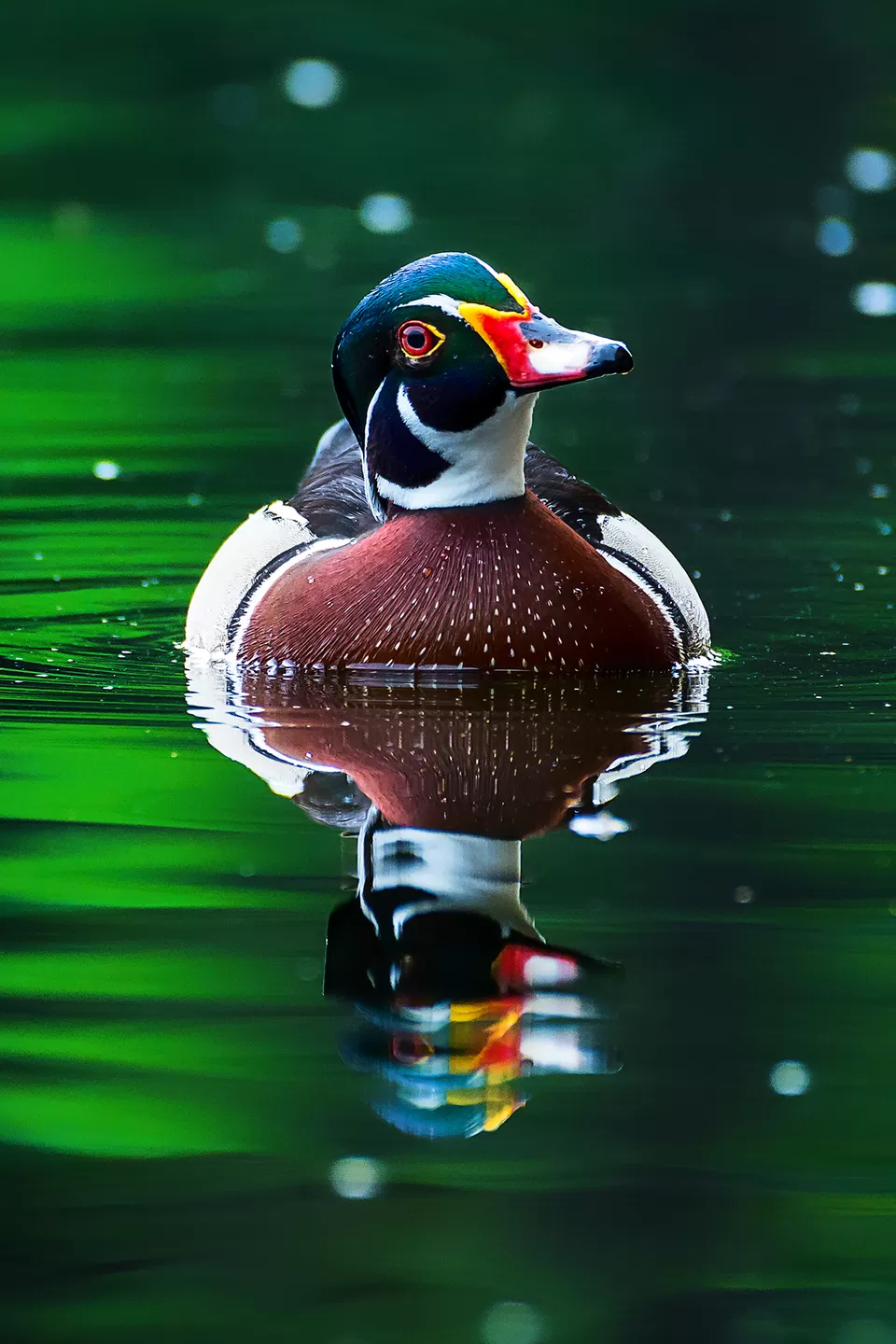 Photo of Bally, Howrah, West Bengal, India by Saurabh Sirohiya