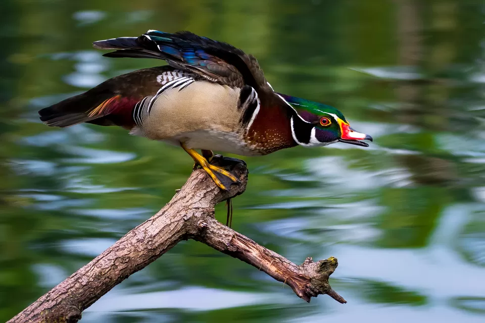 Photo of Bally, Howrah, West Bengal, India by Saurabh Sirohiya