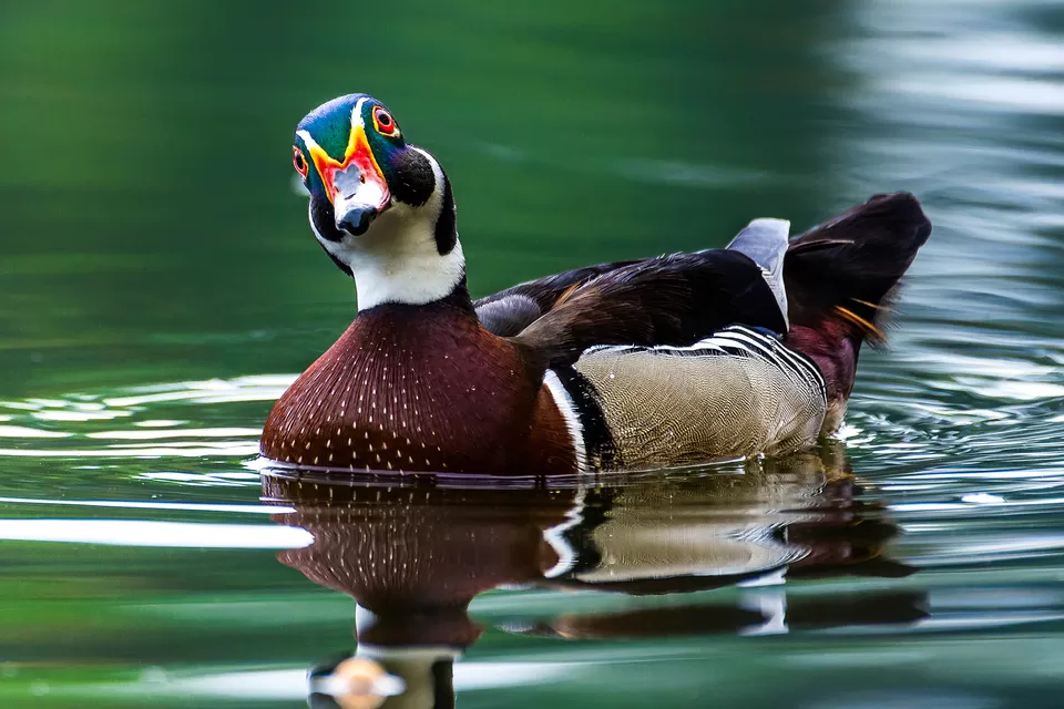 Photo of Bally, Howrah, West Bengal, India by Saurabh Sirohiya