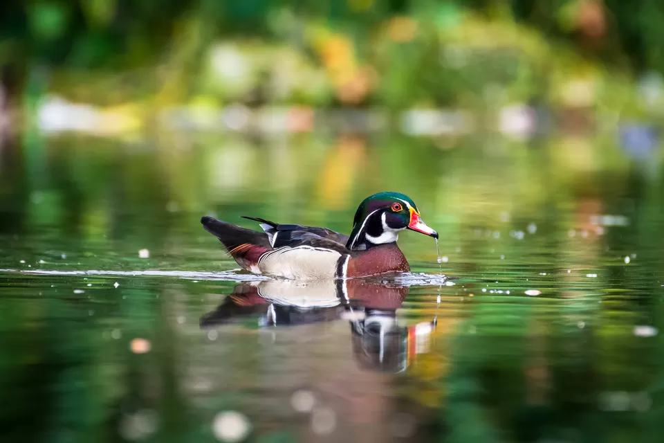 Photo of Bally, Howrah, West Bengal, India by Saurabh Sirohiya
