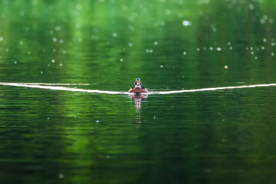 Photo of Bally, Howrah, West Bengal, India by Saurabh Sirohiya