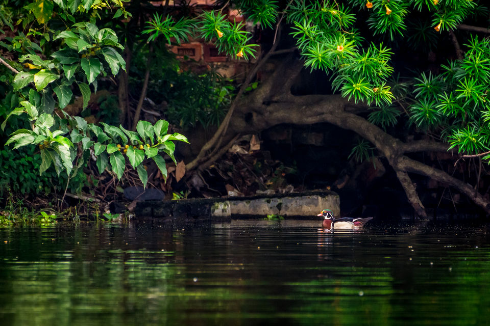 Photo of Bally, Howrah, West Bengal, India by Saurabh Sirohiya