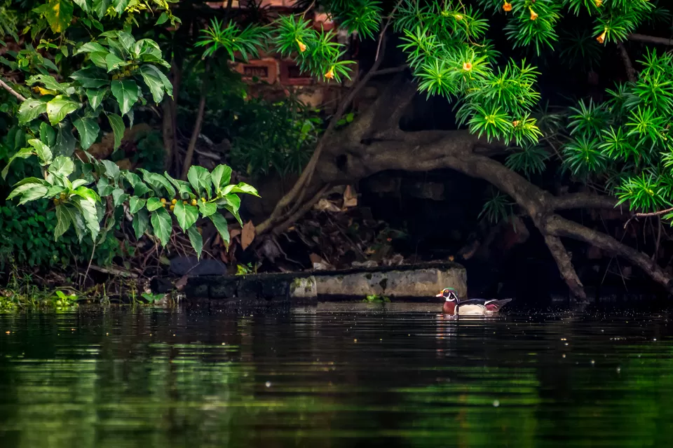 Photo of Bally, Howrah, West Bengal, India by Saurabh Sirohiya