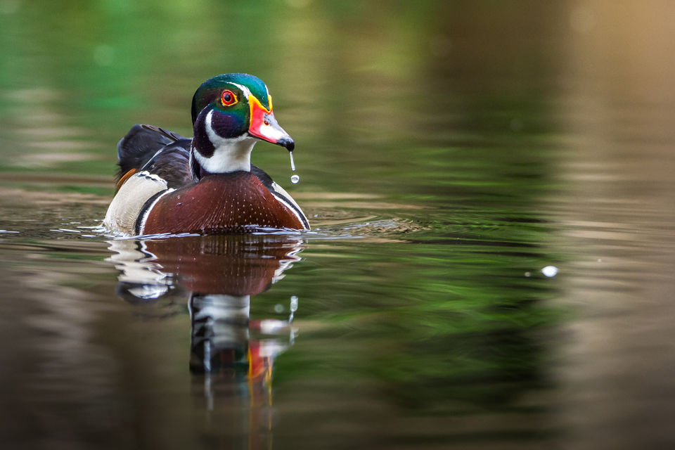 Photo of Bally, Howrah, West Bengal, India by Saurabh Sirohiya
