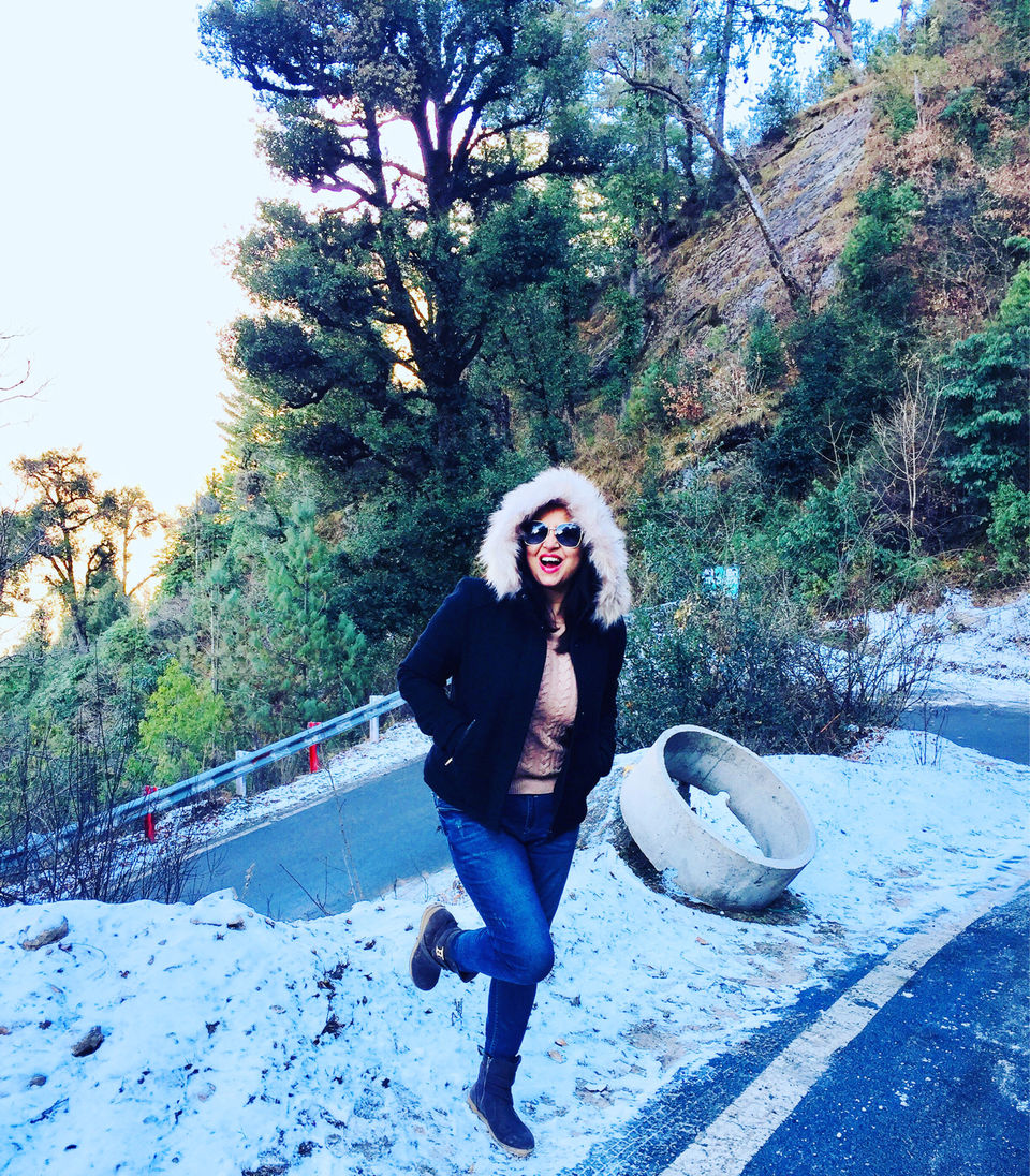 Photo of Ski Resort Auli - Uttarakhand by Sunita Sen
