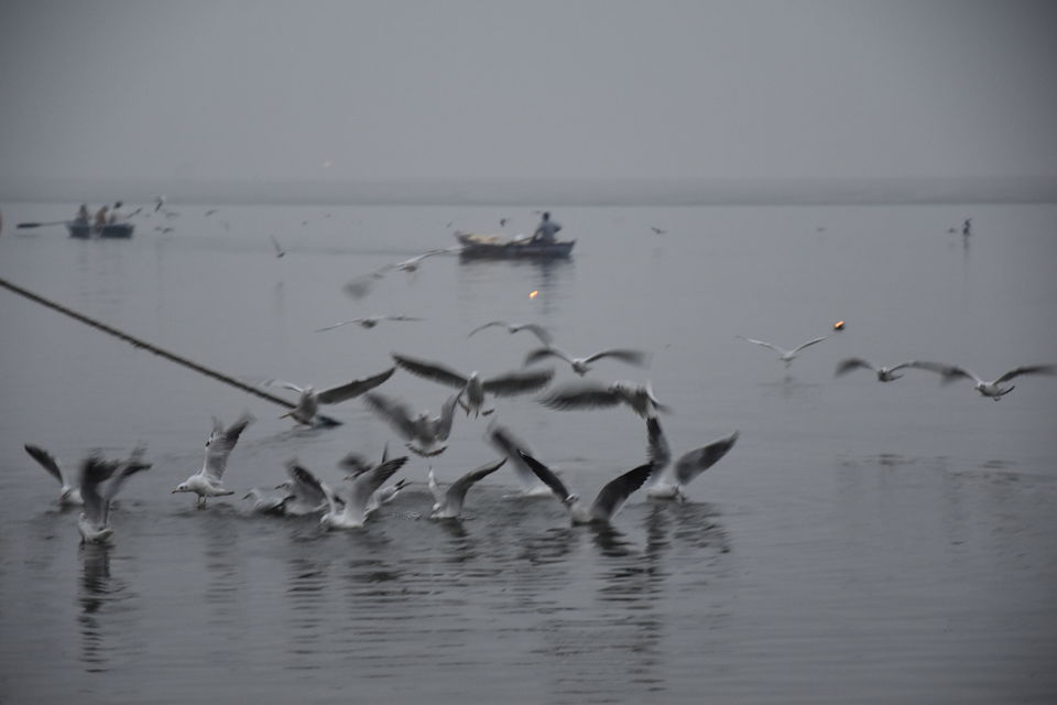 Photo of Varannasi : Death & Reincarnation of the Soul by Vardhan Aditya