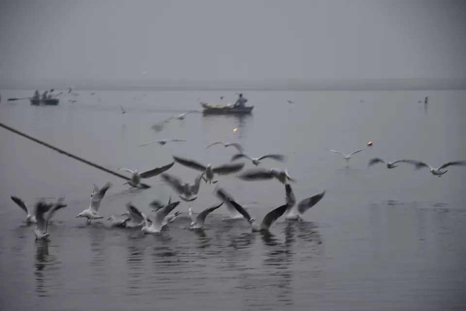 Photo of Varannasi : Death & Reincarnation of the Soul by Vardhan Aditya