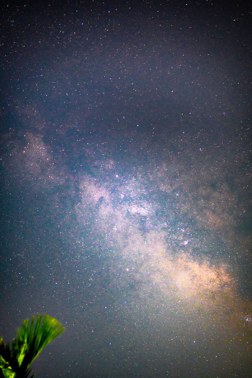Photo of #Lockdown Experiment from Home 2/7 by Debanjan Mondal