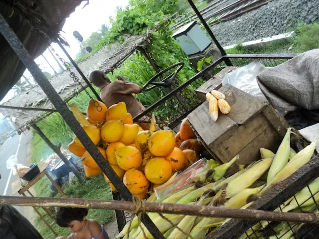 Photo of Bentota, Southern Province, Sri Lanka by Neha 