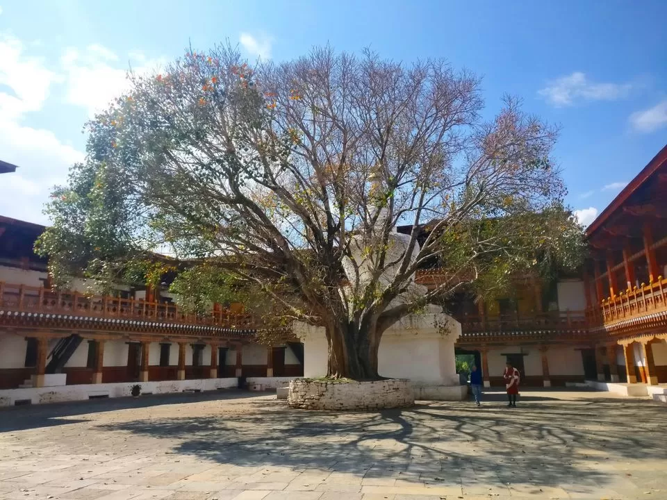 Photo of Punakha, Bhutan by Sanjna Banik