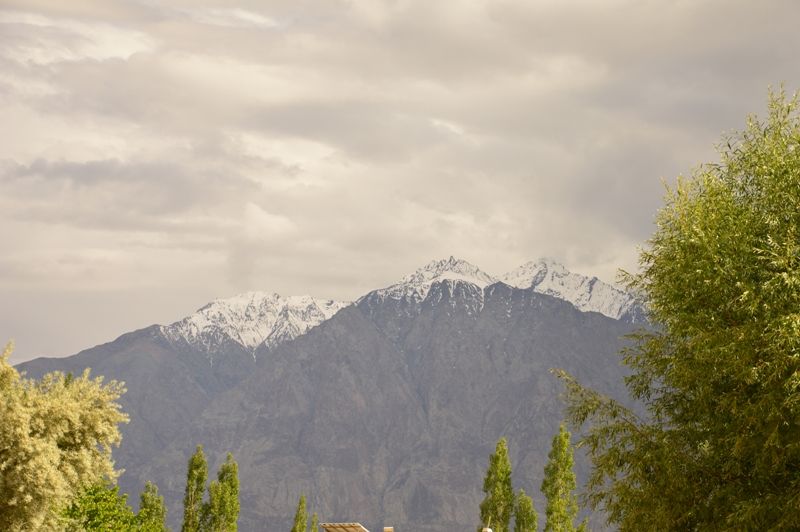 Photo of Mesmerising Ladakh 11/53 by Anand Shah