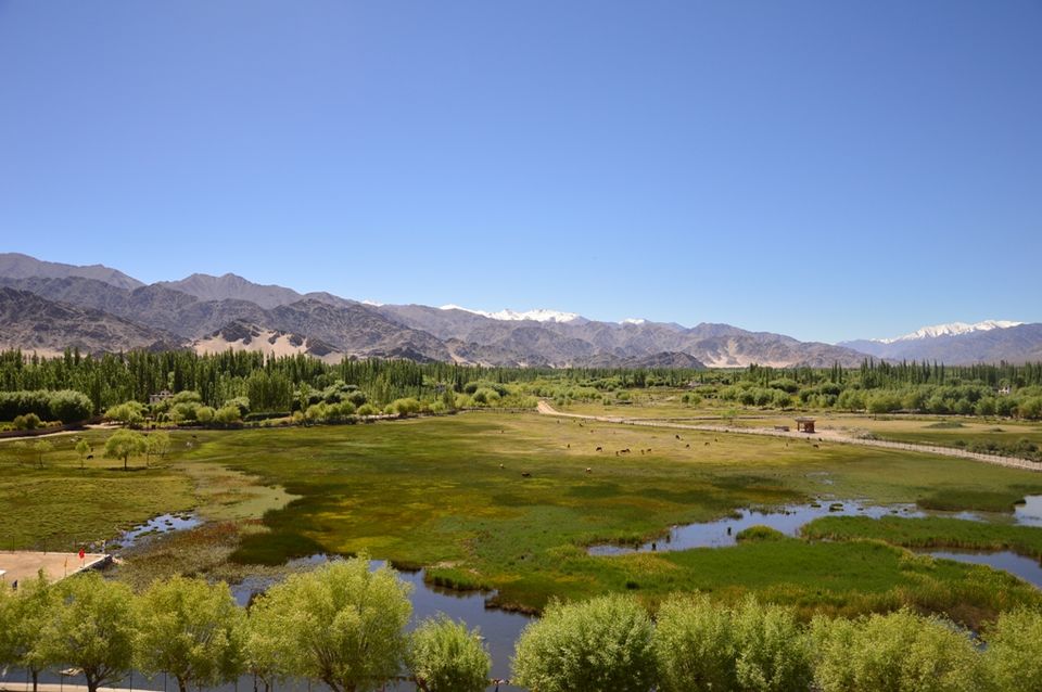 Photo of Mesmerising Ladakh 14/53 by Anand Shah