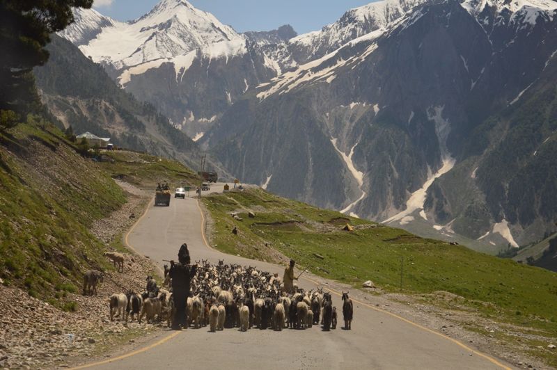 Photo of Mesmerising Ladakh 26/53 by Anand Shah