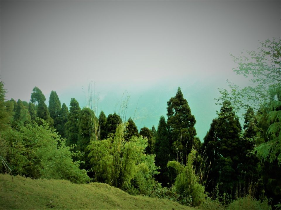 Photo of Alongside the World's tallest mountains....Sandakphu and Phalut Trek by Anand Shah