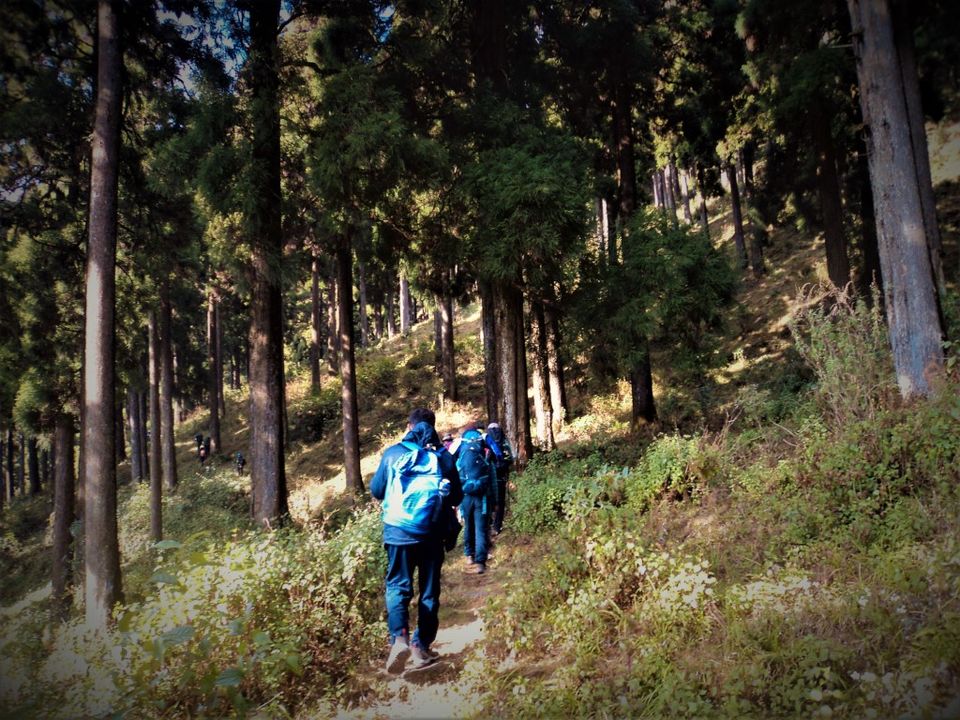 Photo of Alongside the World's tallest mountains....Sandakphu and Phalut Trek by Anand Shah