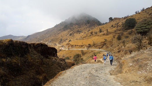 Photo of Alongside the World's tallest mountains....Sandakphu and Phalut Trek by Anand Shah