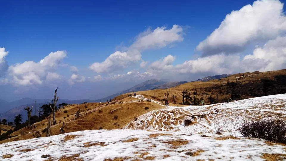 Photo of Phalut, Singalila Forest, West Bengal, India by Anand Shah