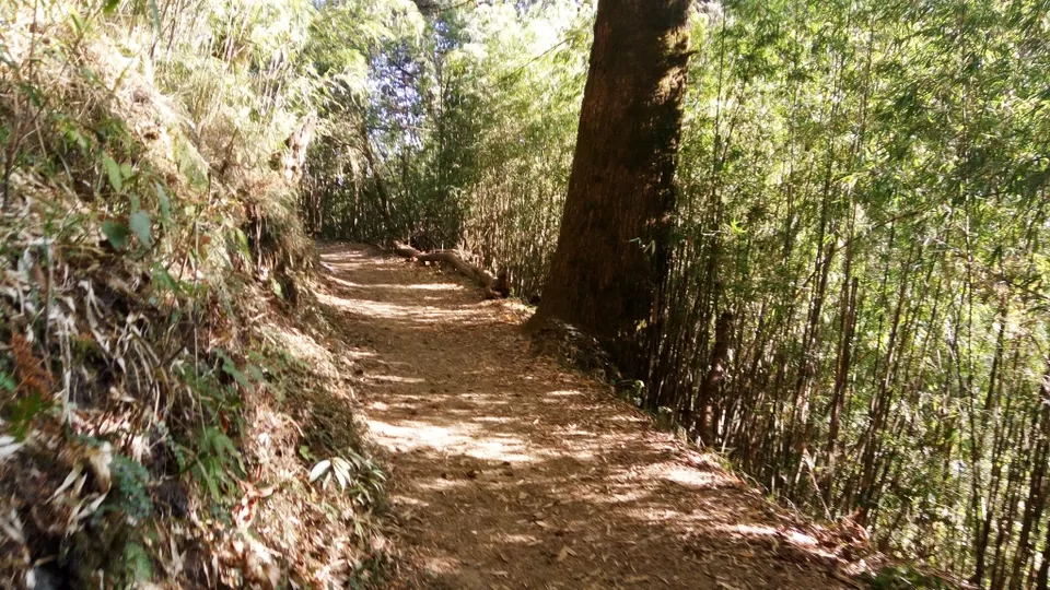 Photo of Gorkhey, West Bengal, India by Anand Shah