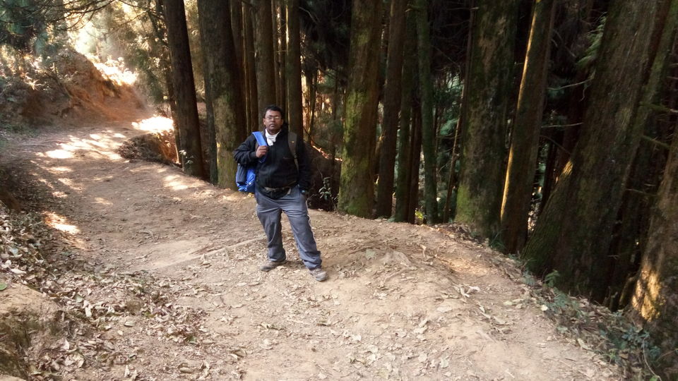 Photo of Alongside the World's tallest mountains....Sandakphu and Phalut Trek by Anand Shah