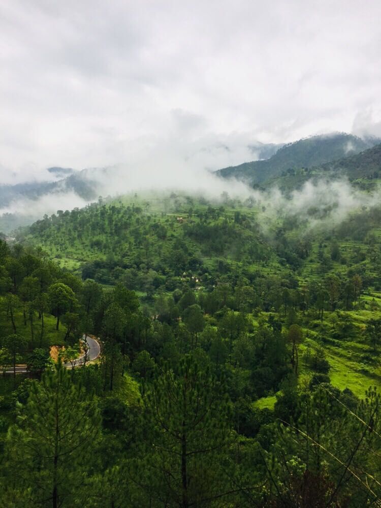 Photo of Roads that lead to paradise !! by SHWETA VASHIST