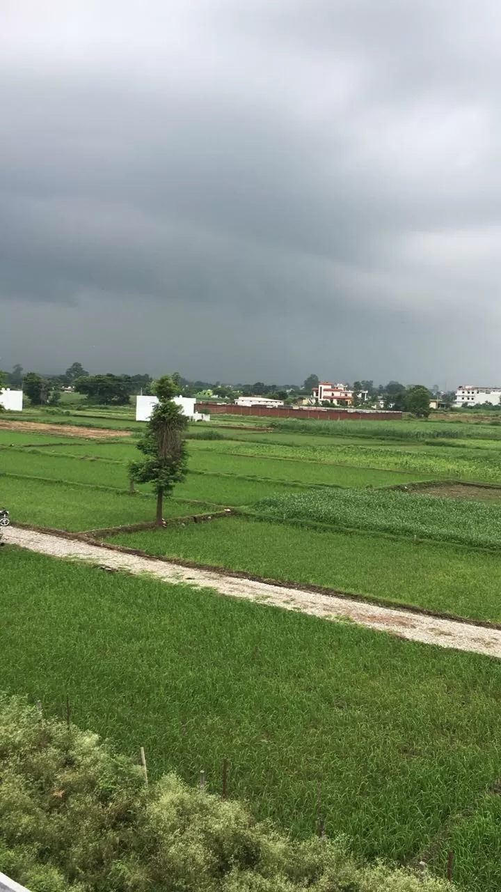 Photo of Haldwani, Uttarakhand, India by SHWETA VASHIST