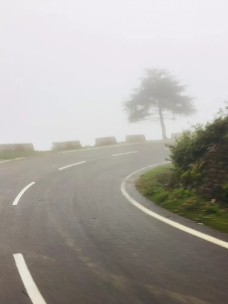 Photo of Haldwani, Uttarakhand, India by SHWETA VASHIST