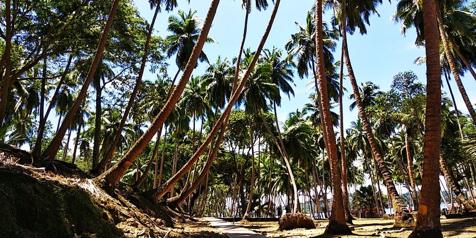 Photo of My Solo Trip to a Romantic Place to Romance with the Nature #notinhills #IssSummerBaharNikal by Unfame Traveller