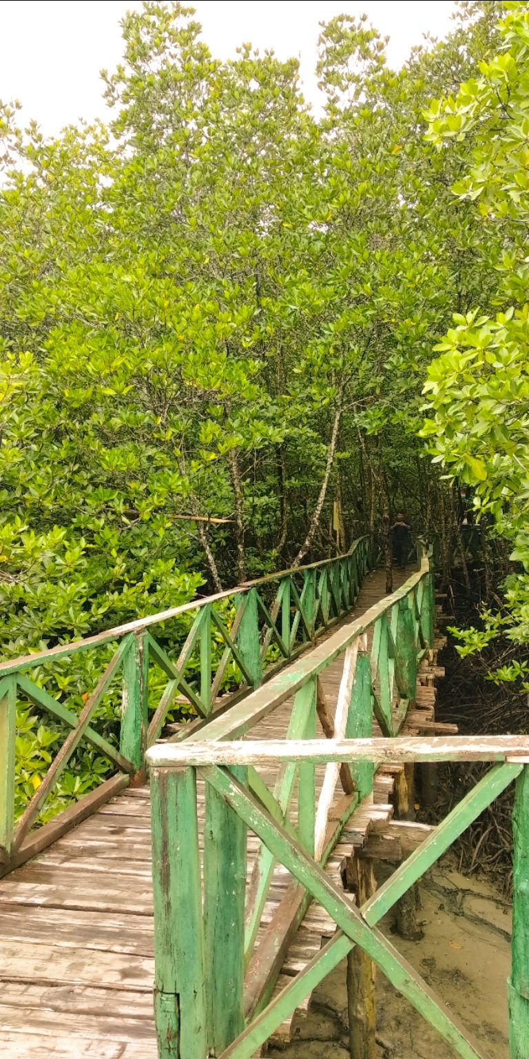 Photo of My Solo Trip to a Romantic Place to Romance with the Nature #notinhills #IssSummerBaharNikal by Unfame Traveller