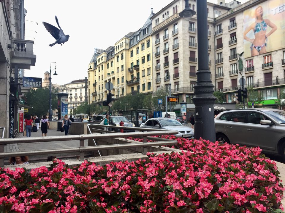 Photo of Budapest, Hungary by Akshata S