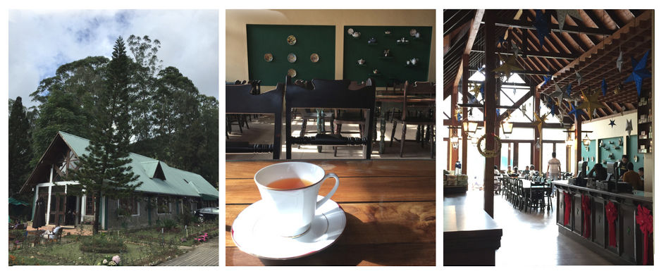 Photo of Sri Lanka: A Food and Tea lover's paradise by Akshata S