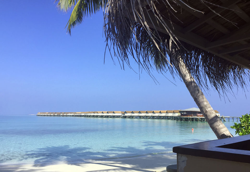 Photo of Centara Ras Fushi Resort & Spa Maldives, Boduthakurufaanu Magu, Maldives by Akshata S